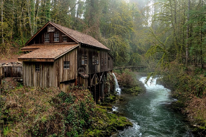 Cozy Cabin in the Woods